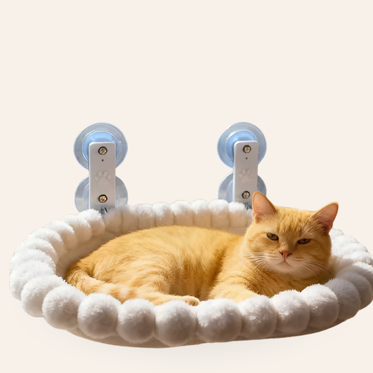 Suction Cup Cat Window Hammock
