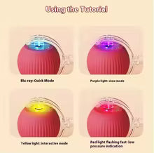 Interactive Rolling Smart Ball Cat Toy