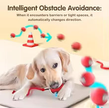 Interactive Rolling Smart Ball Cat Toy