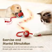 Interactive Rolling Smart Ball Cat Toy