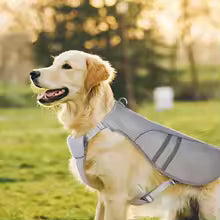 Dog Cooling Vest Harness