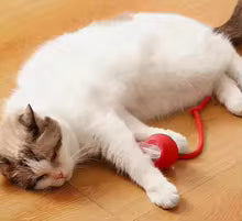 Interactive Rolling Smart Ball Cat Toy