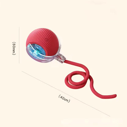 Interactive Rolling Smart Ball Cat Toy