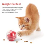 Cat Treat Dispensing Ball - Image 4